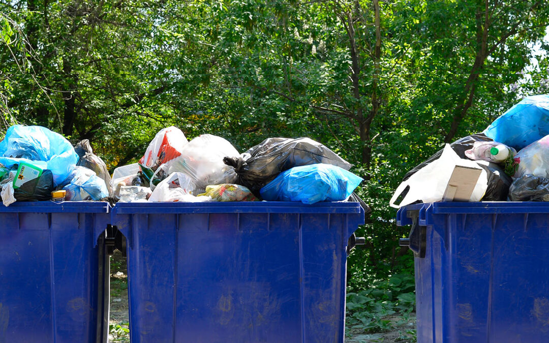 Municipal solid waste